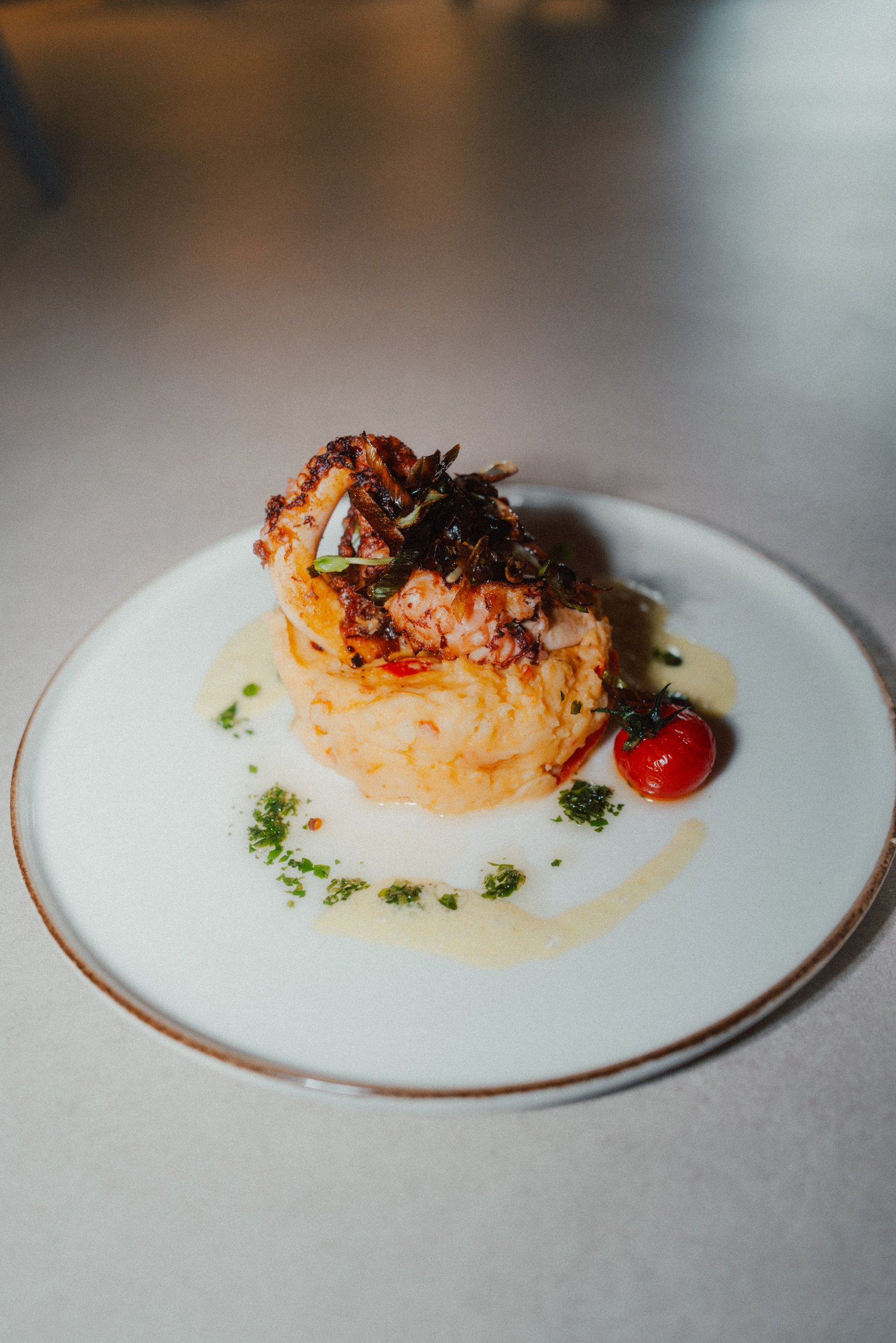 Papillon Impression 5