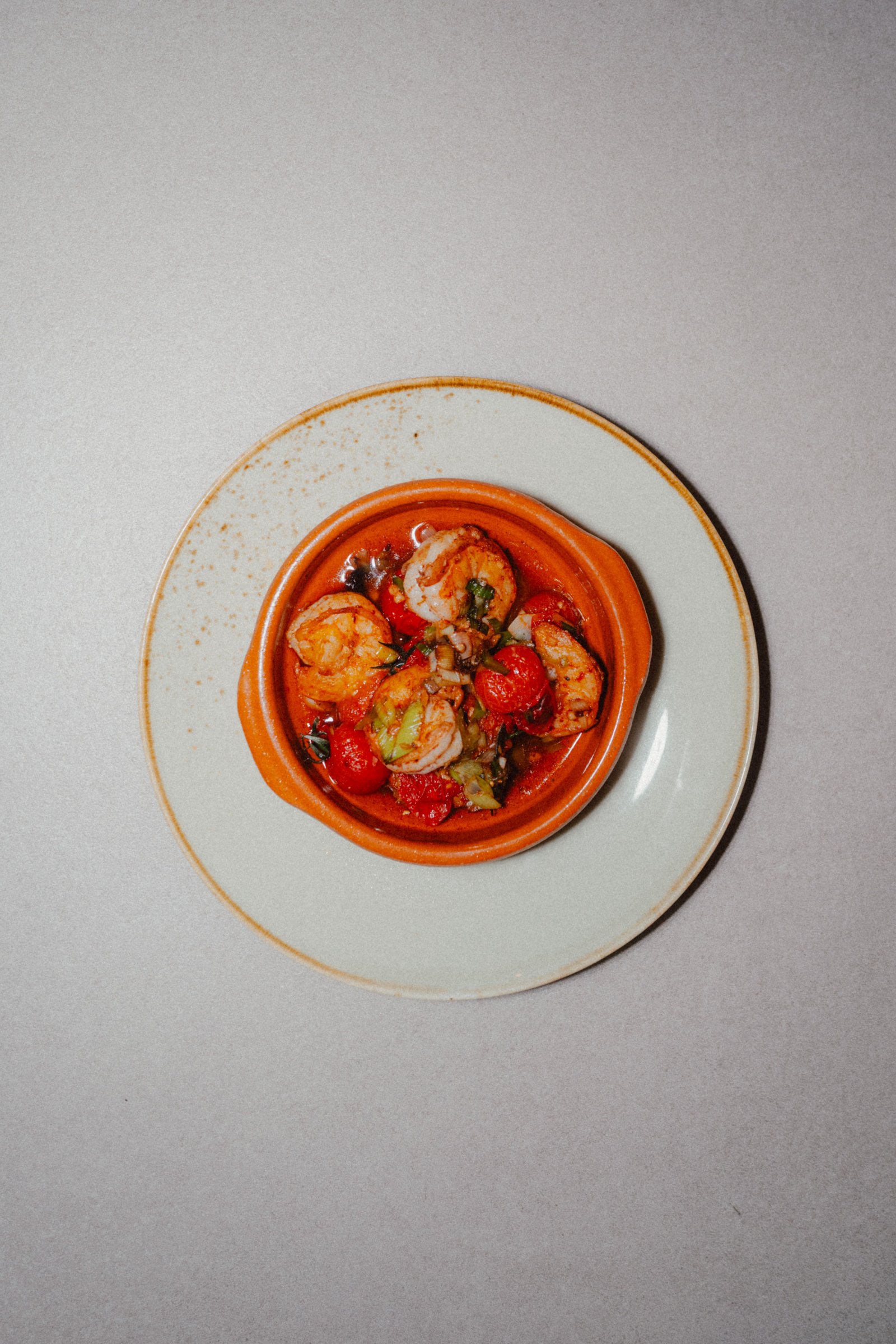 Papillon Impression 6